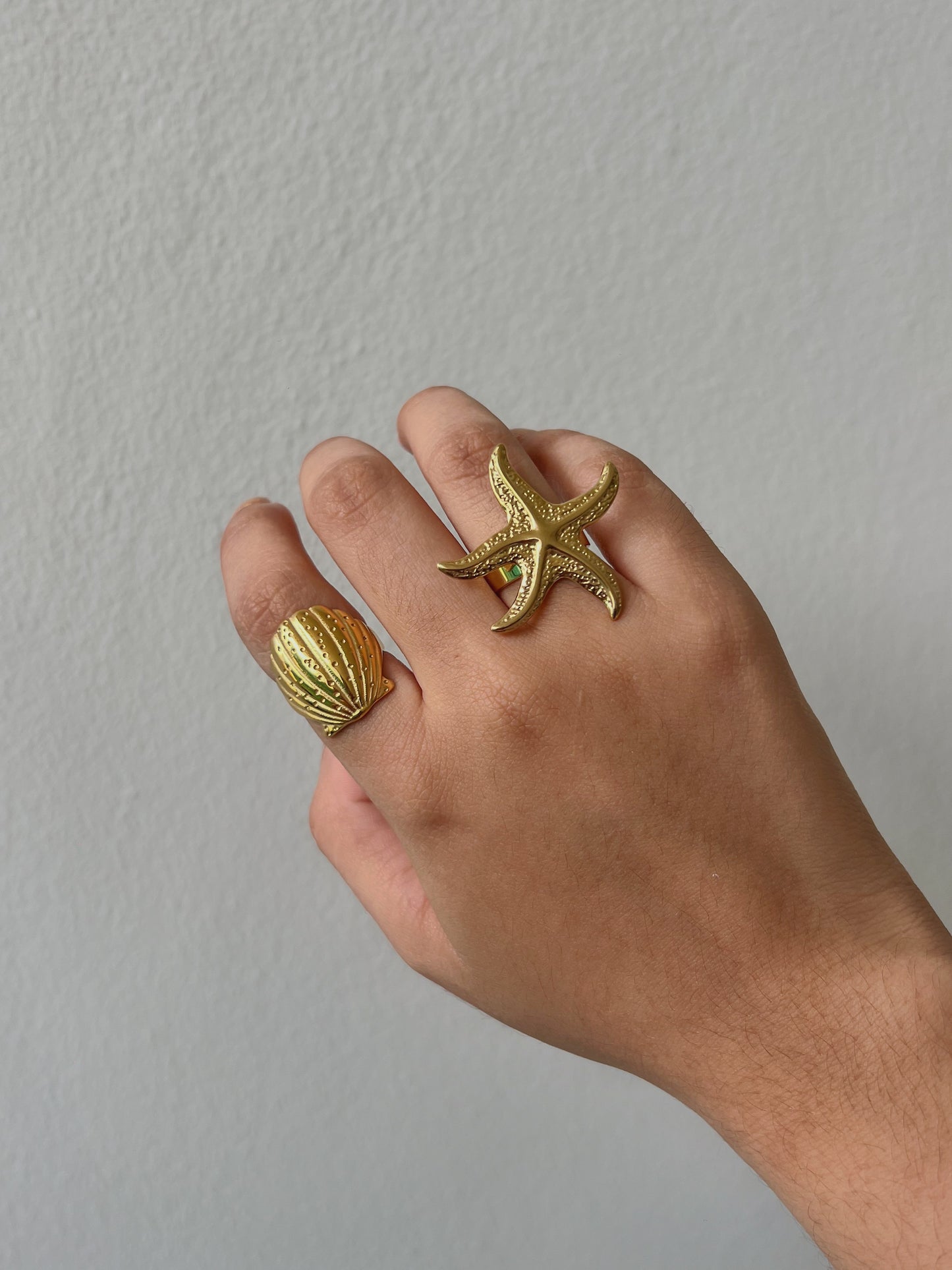 Anillo concha de mar