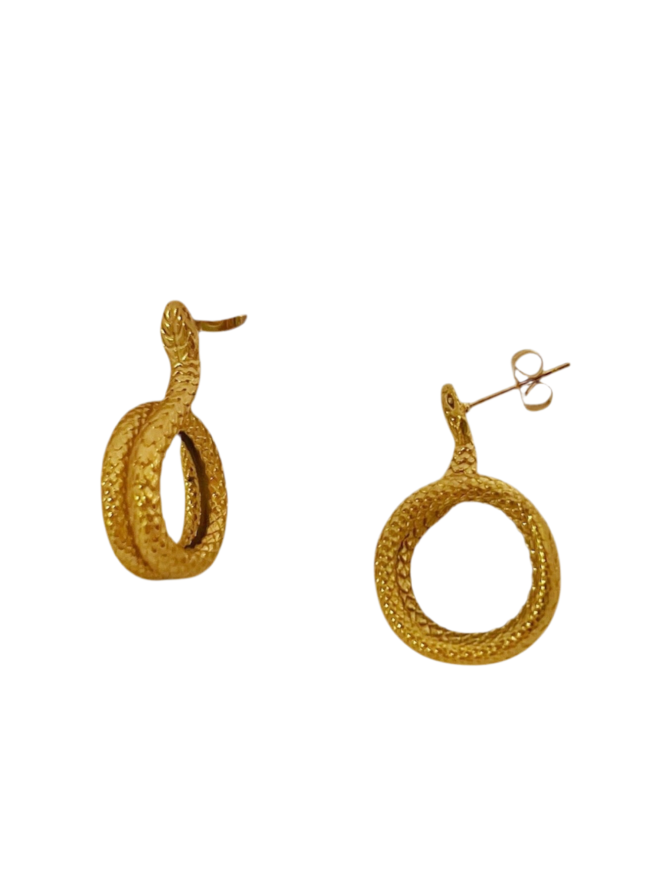 Aretes snake