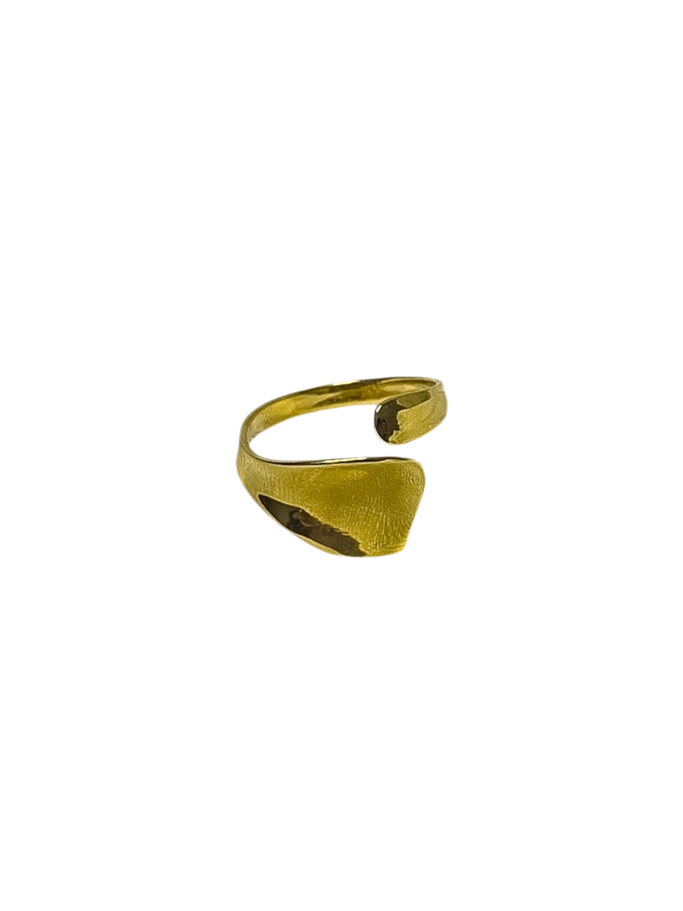 Anillo aleta