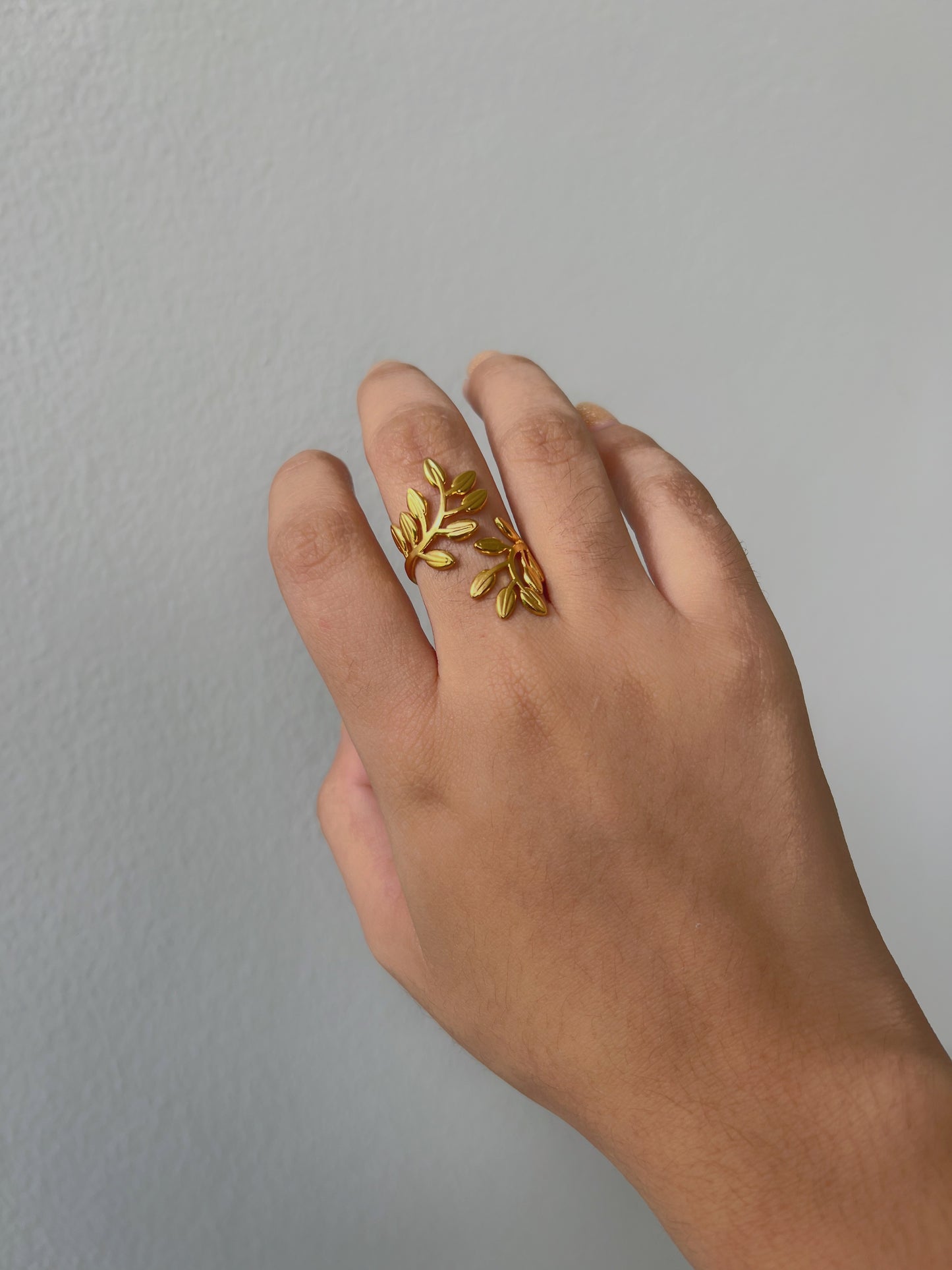 Anillo ramas