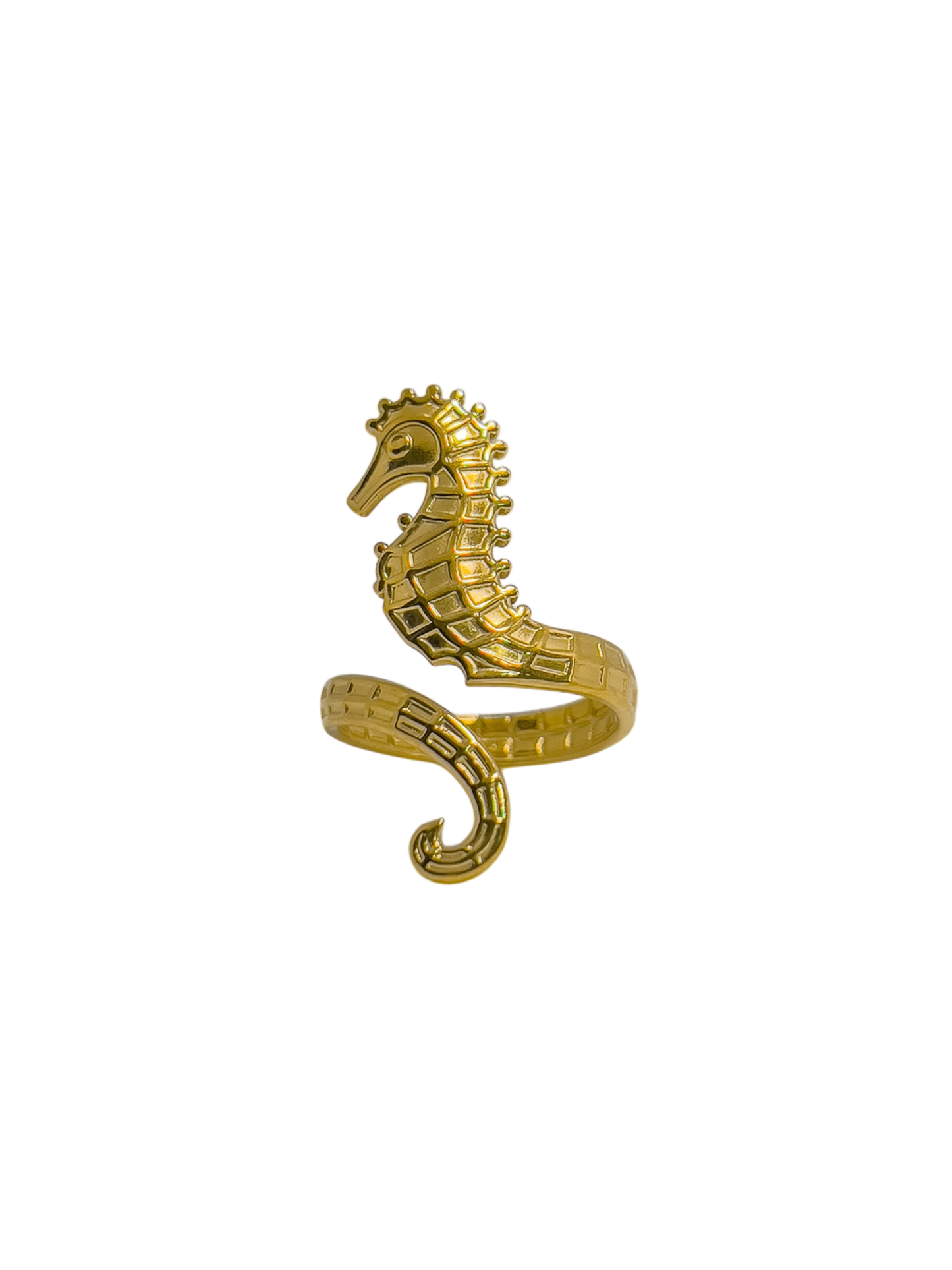 Anillo caballo de mar