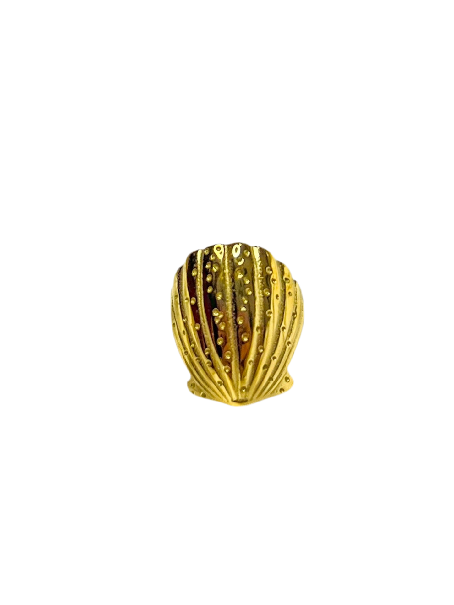 Anillo concha de mar