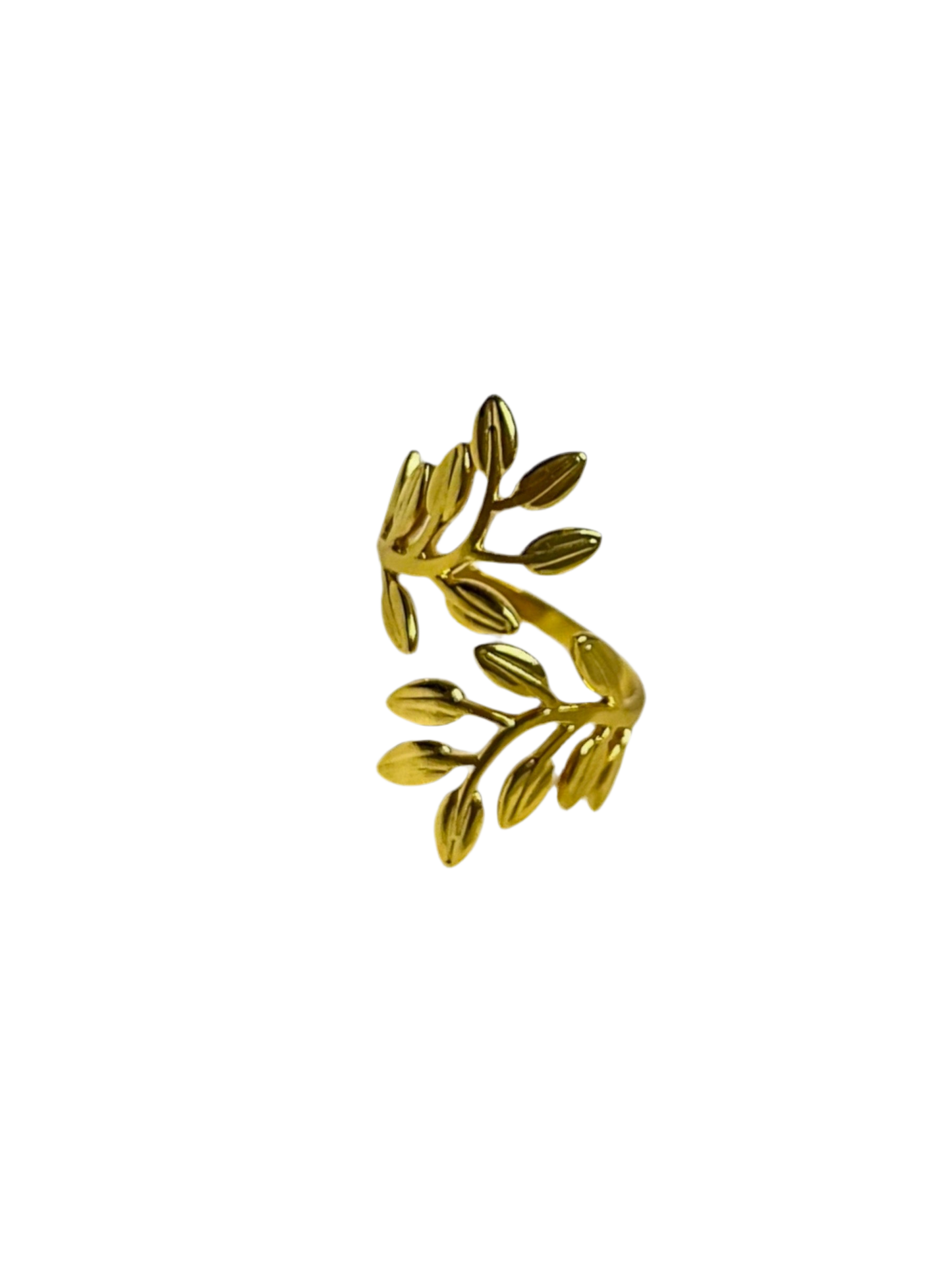 Anillo ramas