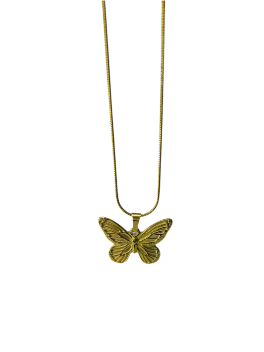 Collar mariposa