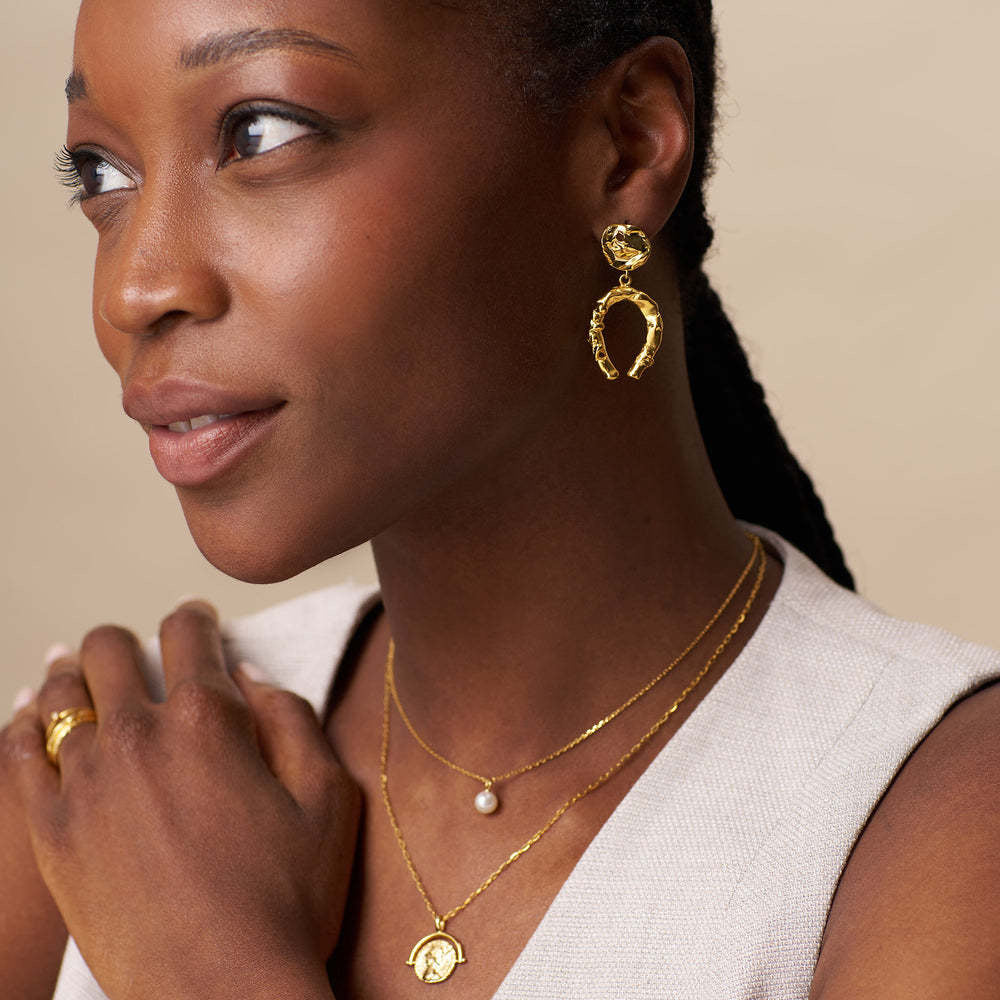 Aretes herradura