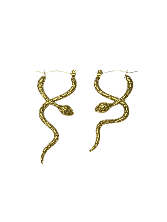 Aretes snake largos