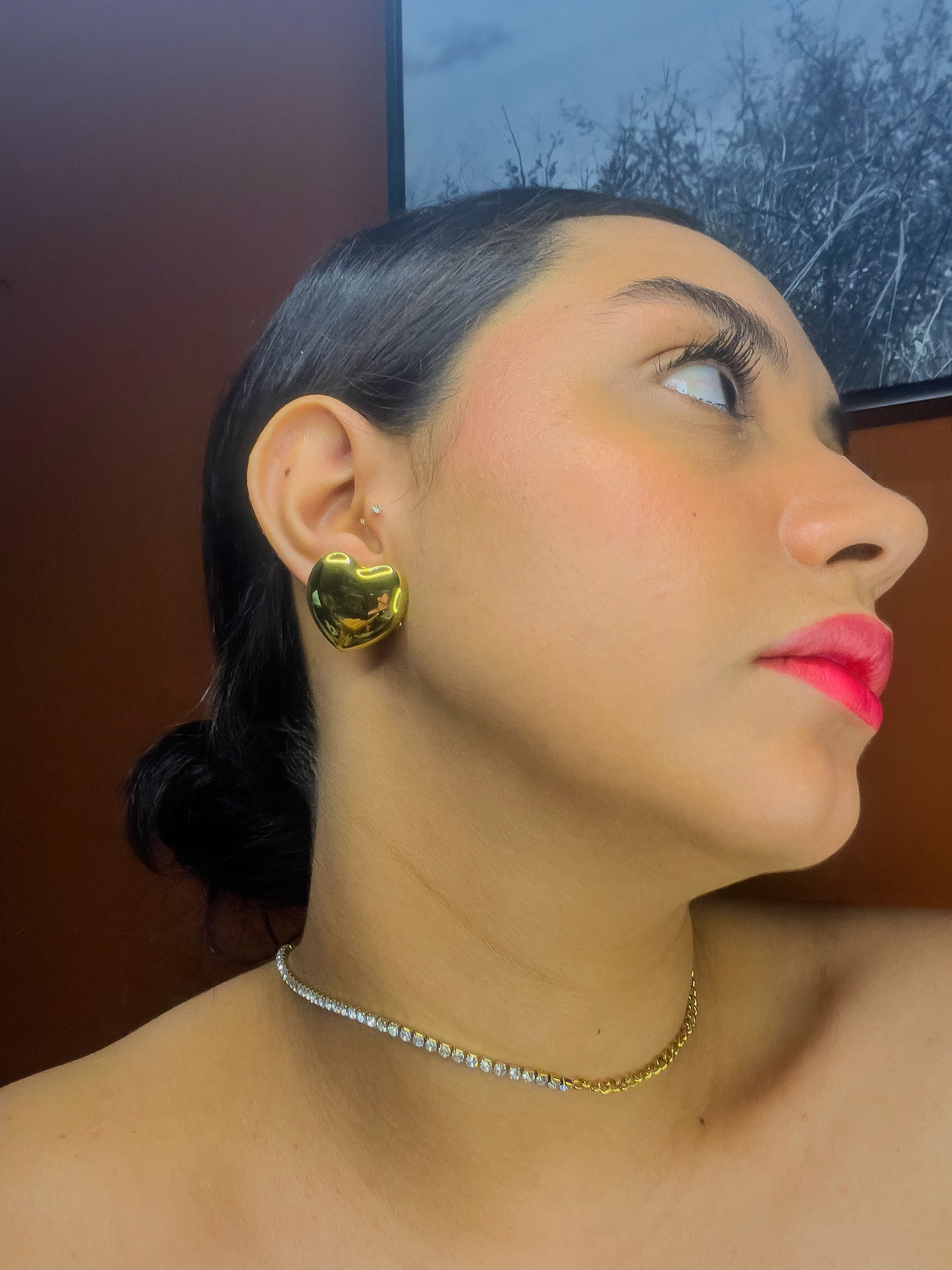 Aretes Aimi A-Iuvenis Store