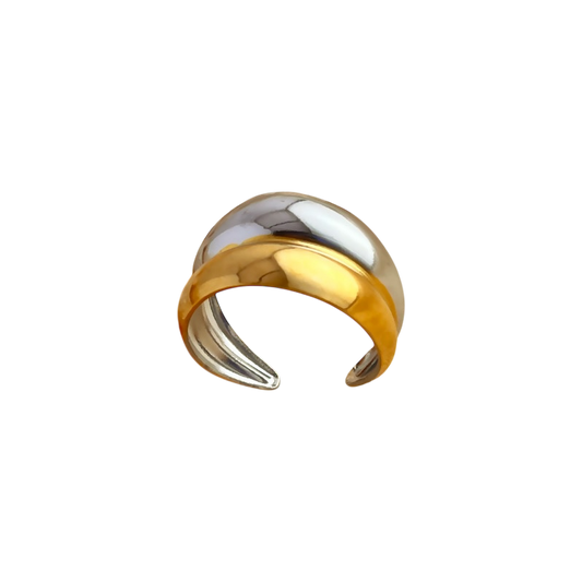 Anillo doble bicolor