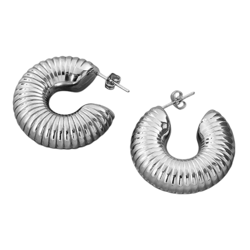 Aretes Amelia plateados